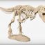 Projeto Esqueleto Do T-Rex